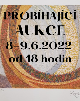 637873725426095381_aukce (1).png